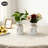 Flower Vase With Hemp Rope Bow-2100092057