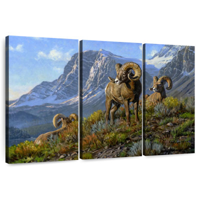 Rams