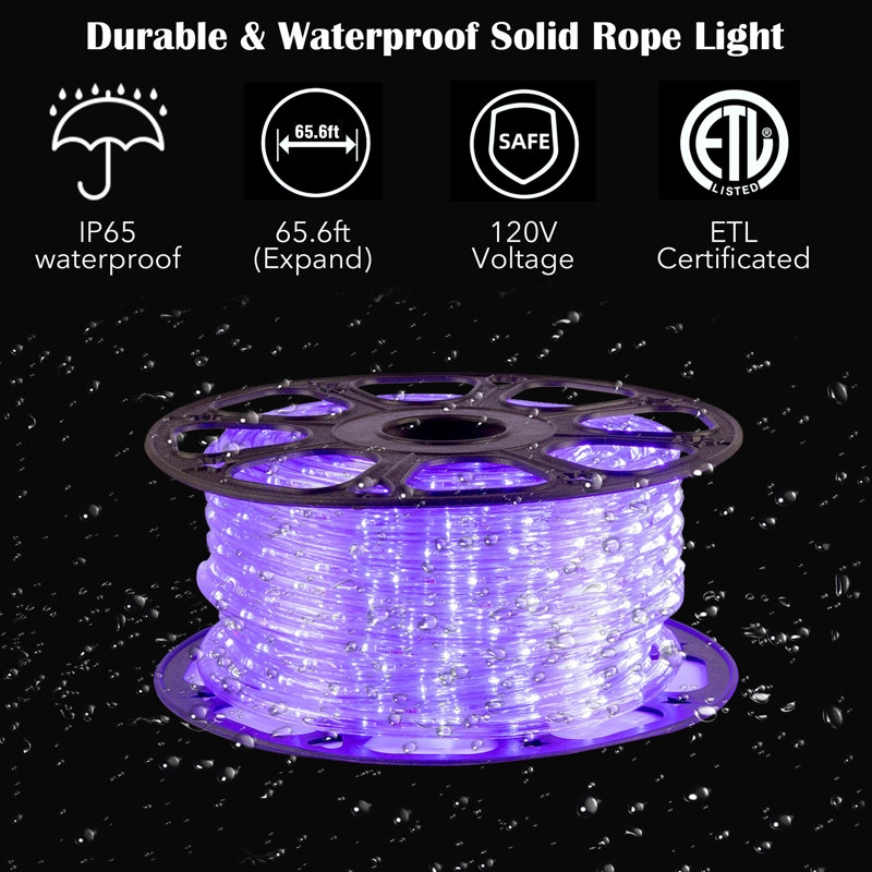 65.6FT LED Rope Light, 120V Plug-in, Cuttable, Connectable, Brightness Adjustable, IP65 Waterproof, Remote Control with Dynamic Modes and Timer