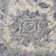 Oriental Indoor Rug