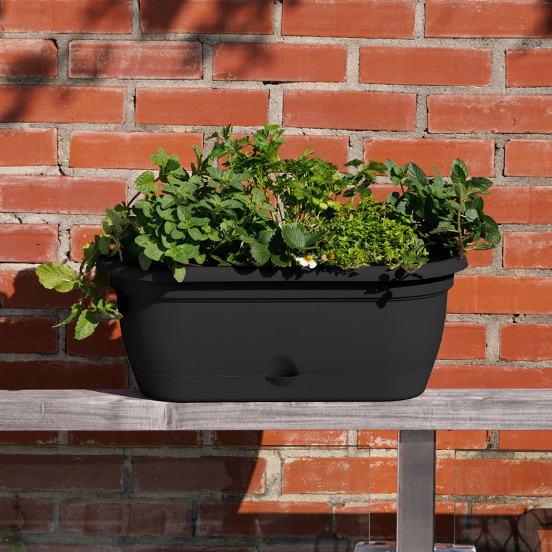 Lucca Self-Watering Plastic Indoor/Outdoor Oval Window Box Planter with Watering Basin, Black