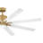 Hinkley Fan Vantage 66" Led Smart Fan