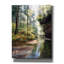 Adhya Quiet Forest - reproduction d'art sur toile tendue-437588140