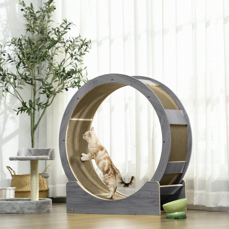 Scratching Post