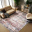 Rokeisha Washable Oriental Indoor Rug-624627057