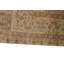 Wool Oriental Area Rug in Ivory