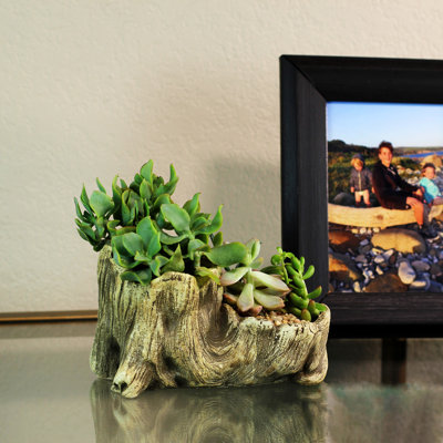 Kelm Ceramic Statue Planter