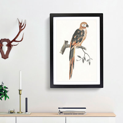 A Parrot by Johan Teyler - Single Picture Frame Painting