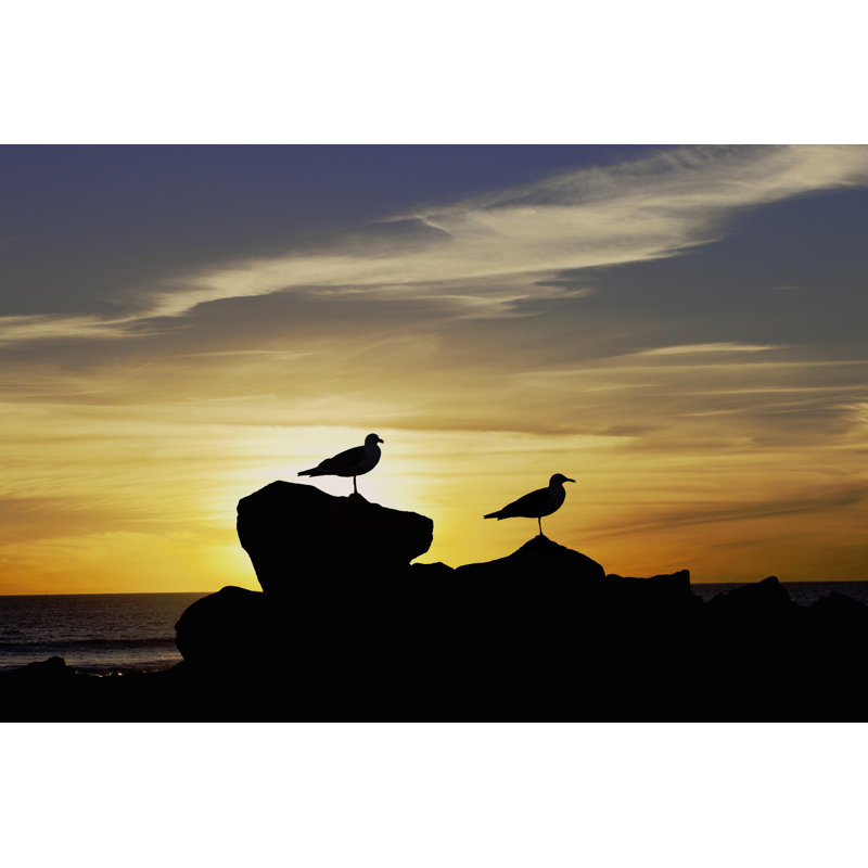 Sea Gulls At Sunset by Ron And Patty Thomas - No Frame Art Prints on Canvas, 20cm H x 30cm W