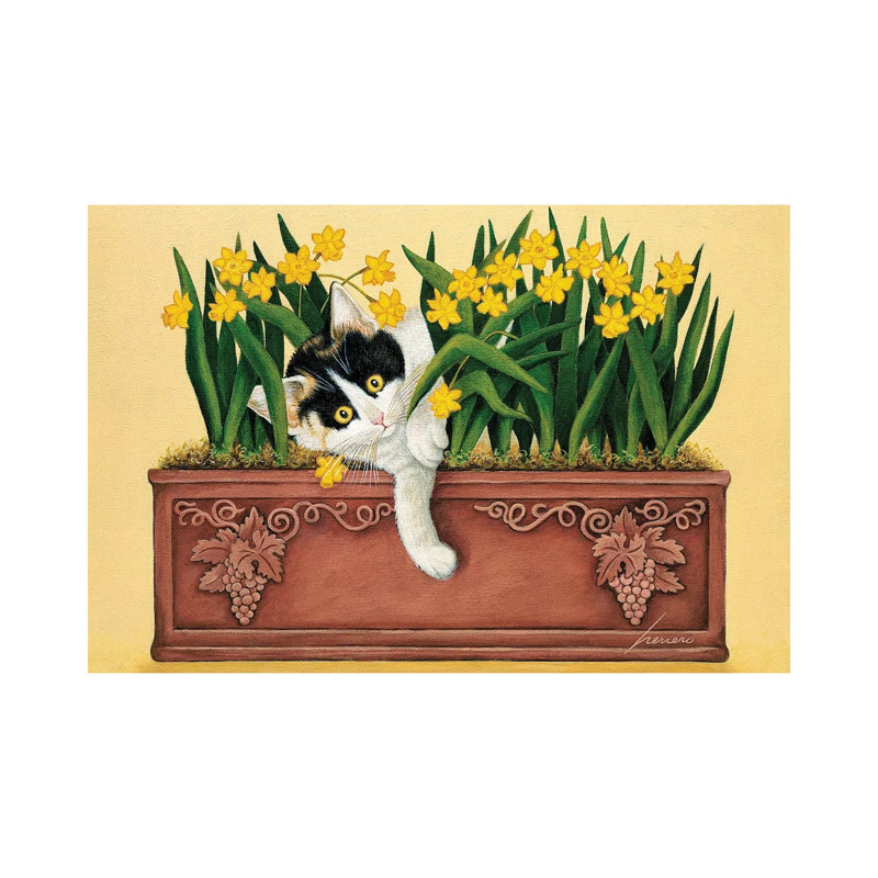 Pinot Howell Shafer by Lowell Herrero - Wrapped Canvas Painting, 20.32 cm H x 30.48 cm W
