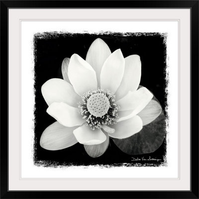 Lotus Flower " Lotus Flower II " by Debra Van Swearingen