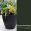 Jardinière en plastique Marazzi-194242657-197888332