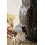 LUMINAIRE RUSTIC IRON OWL