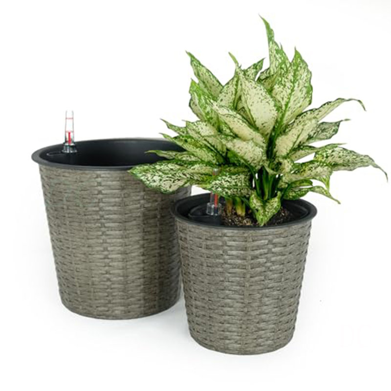 Paquet de 2 pots de fleurs décoratifs en osier pour l'intérieur et l'extérieur - rond
