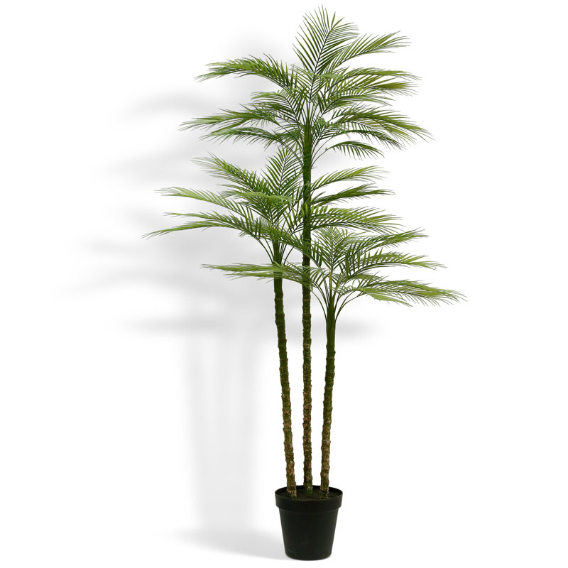 ARBRE DE Palmier 7 pi