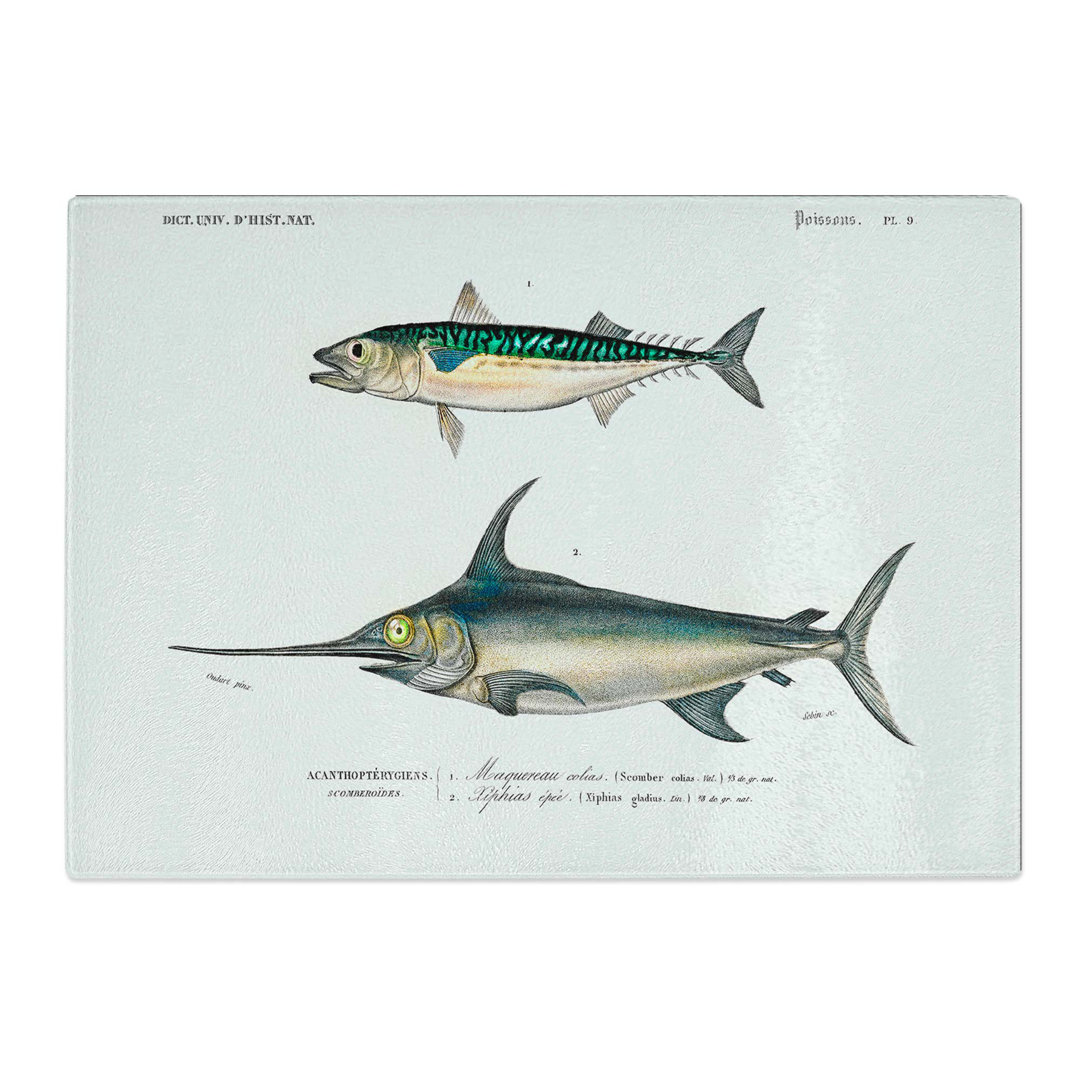 Tempered Glass Fish Illustrations PL. 9 by Charles D' Orbigny Chopping Board