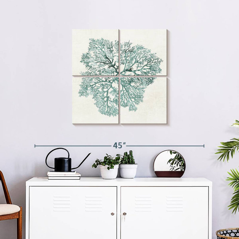 Corail Brampt sarcelle