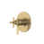 Antique Gold