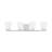4 - Light Vanity Light