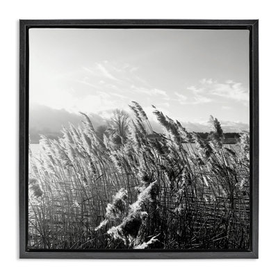 Tall Grass Lake Water Landscape Grey Framed Floater Canvas Wall Art by Sarah Jane