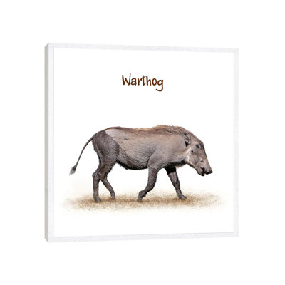Muddy Baby Warthog Walking by Susan Schmitz - Print on Canvas