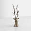 Cerf