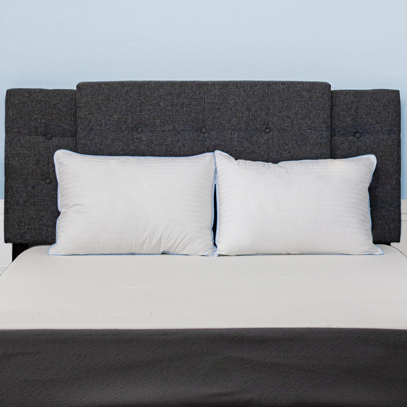 Coussin Stearns, Standard