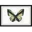 Vert forêt-papillon-impression sur papier-62471575