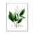 Cadre flottant blanc
