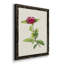 «Pretty Pink Botanicals II», toile encadrée de qualité supérieure - prête à être accrochée-1603343129-1603343122