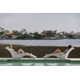 Wave Panama Jack Wave In-Pool Chaise Lounger