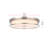 Ashok 20 inch LED Flush Mount -1712994882