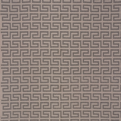 Tissu de broderie A Maze
