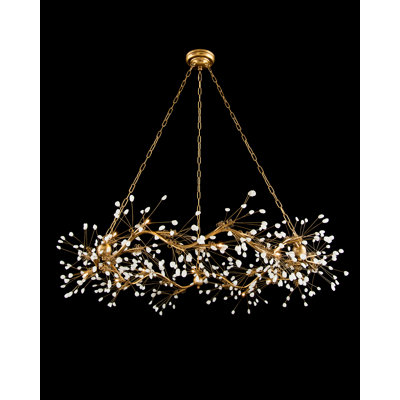 12 - Light Dimmable Oblong Chandelier