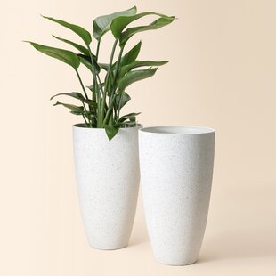 https://assets.wfcdn.com/im/96605869/resize-h310-w310%5Ecompr-r85/1813/181382436/2-piece-plastic-pot-planter-set-set-of-2.jpg