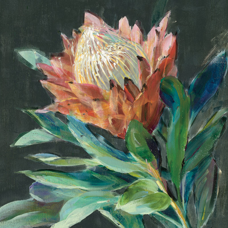 " Deep Protea " by Danhui Nai Painting Print, 12" H x 12" W