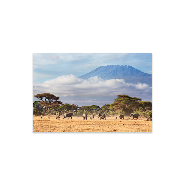 Latitude Run® African Elephant Herd In Savanna,Mt Kilimanjaro,Amboseli ...