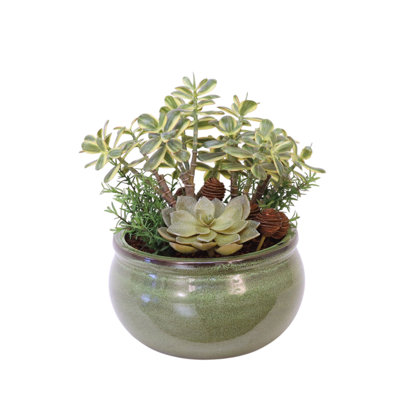 Succulent Garden in Green Garden Pot