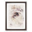 Pale Pink Rose - Framed Print-56741571-56741573