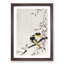 Two Sable Red Tails and Cherry Blossom by Ohara Koson - Picture Frame Painting Print-55606103-55606102