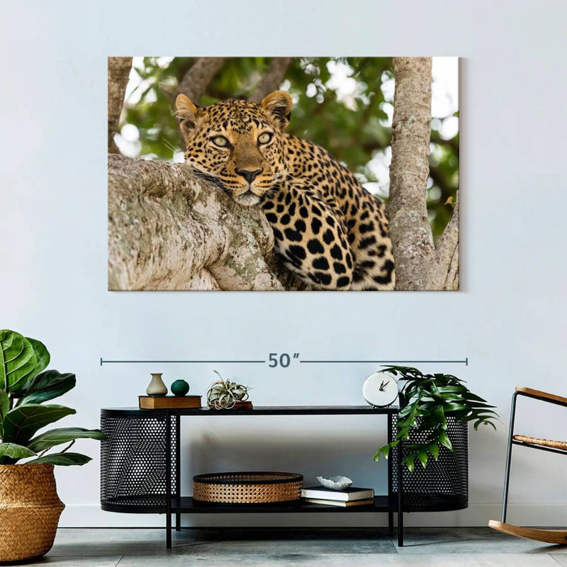 Brampt Leopard On Tree Trunk