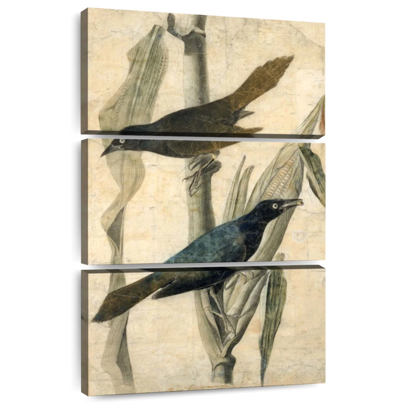Brampt Purple Grackle