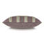 Daleyza Pillow Cover & Insert
