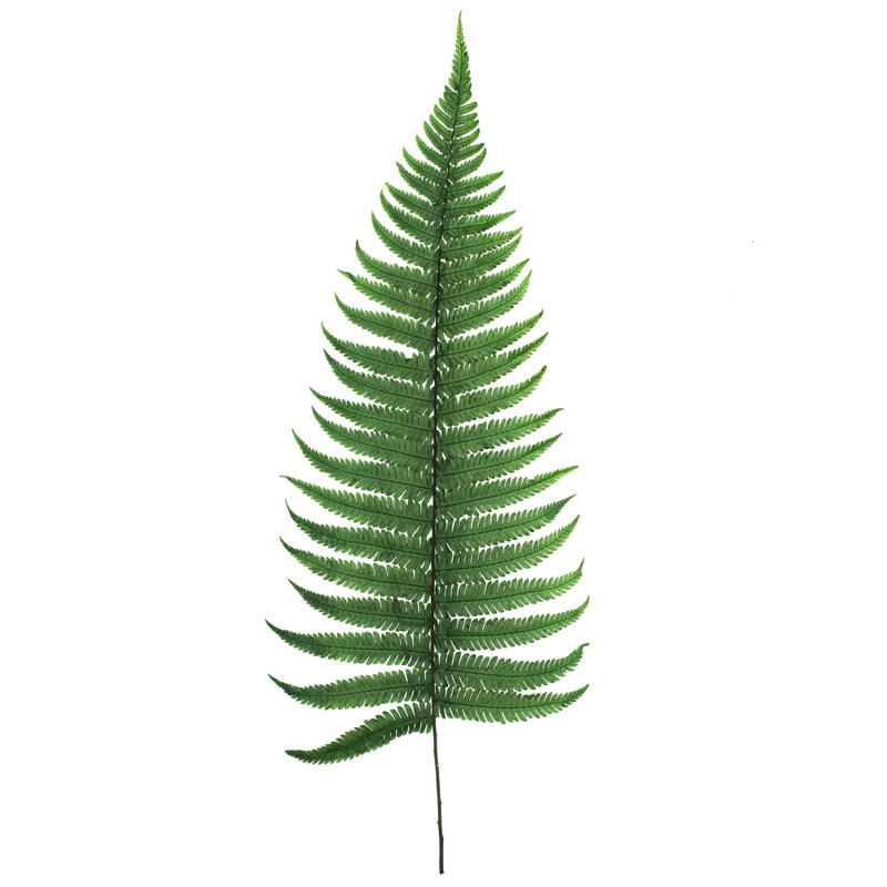 Vickerman 16-18" Fern Green Fern- Parchment, 10 stems, Preserved
