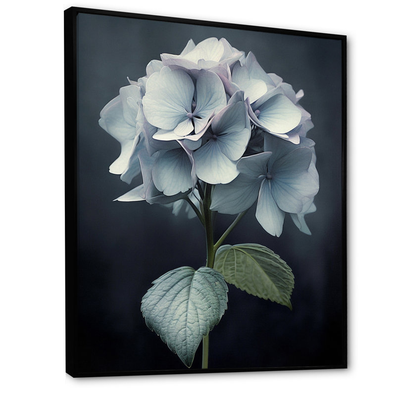 " Black White Hydrangea Blooming IV ", Black Floater Framed, 20" H x 12" W x 1.5" D