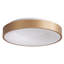 LED Flush Mount-1411380936-1411127517-1411127514