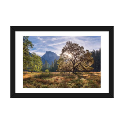 " Cook’s Meadow " by Adam Burton