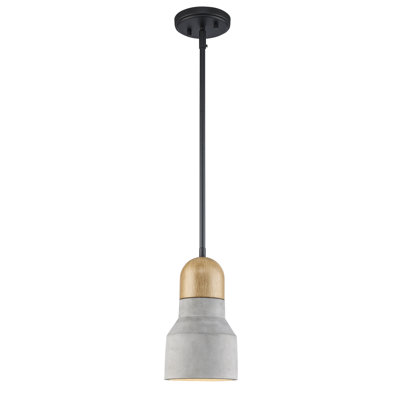 Luminaire suspendu 1 lumière Zac