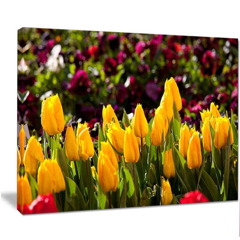 «Beautiful Yellow Tulips Garden», reproduction de photo sur toile tendue, H 30 po x l 40 po