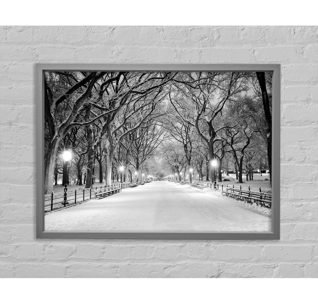 Winterspaziergang durch den Central Park - Einzelne Bilderrahmen Kunstdrucke auf Leinwand